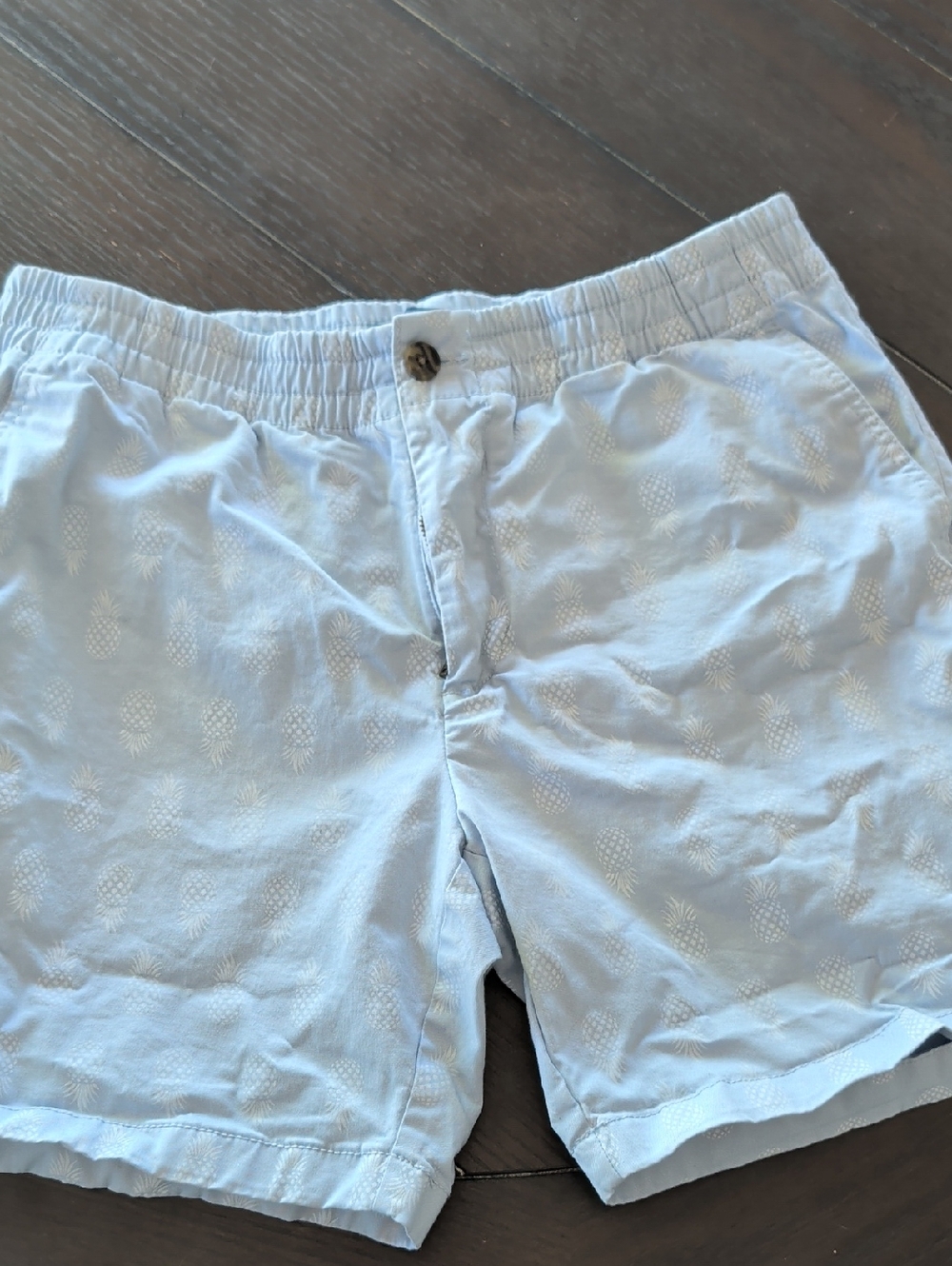 Tommy Hilfiger Light Blue Pineapple-Print Men’s Athletic Shorts